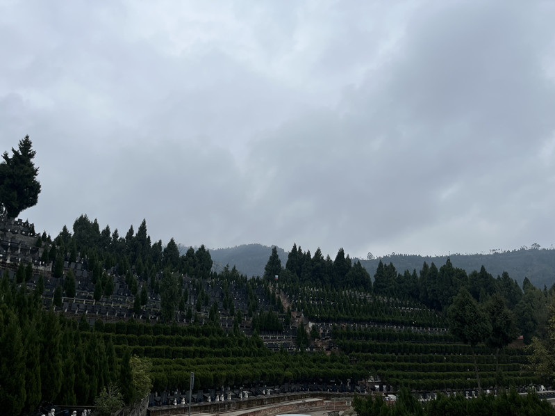 金龙山.jpg