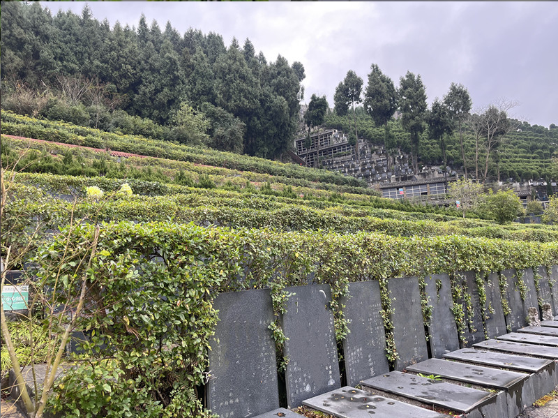 金龙山1.jpg