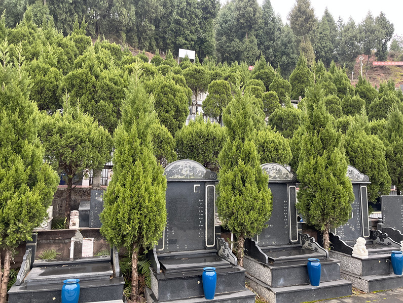 金龙山2.jpg